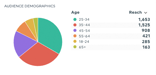 dados demográficos do público no DashThis